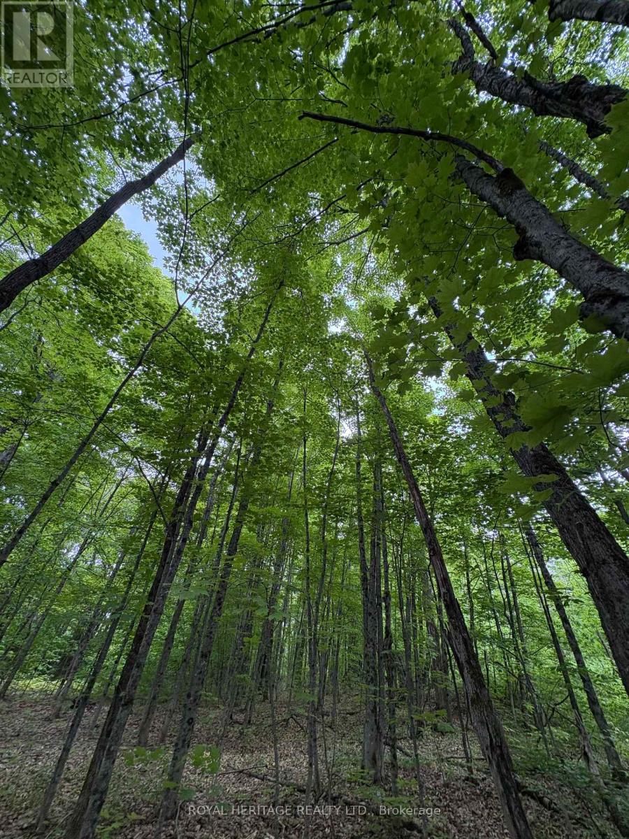 1043 LAWRENCE PIT ROAD - Photo 3 of 6, Muskoka Lakes (Watt), Ontario