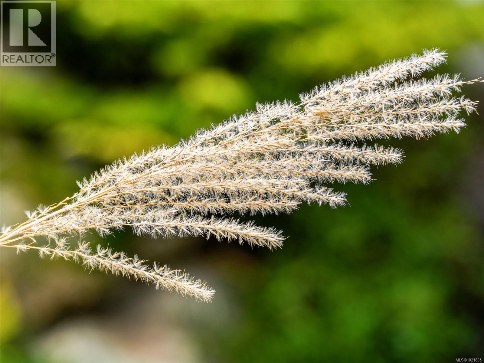 25 1286 Tolmie Avenue, Saanich