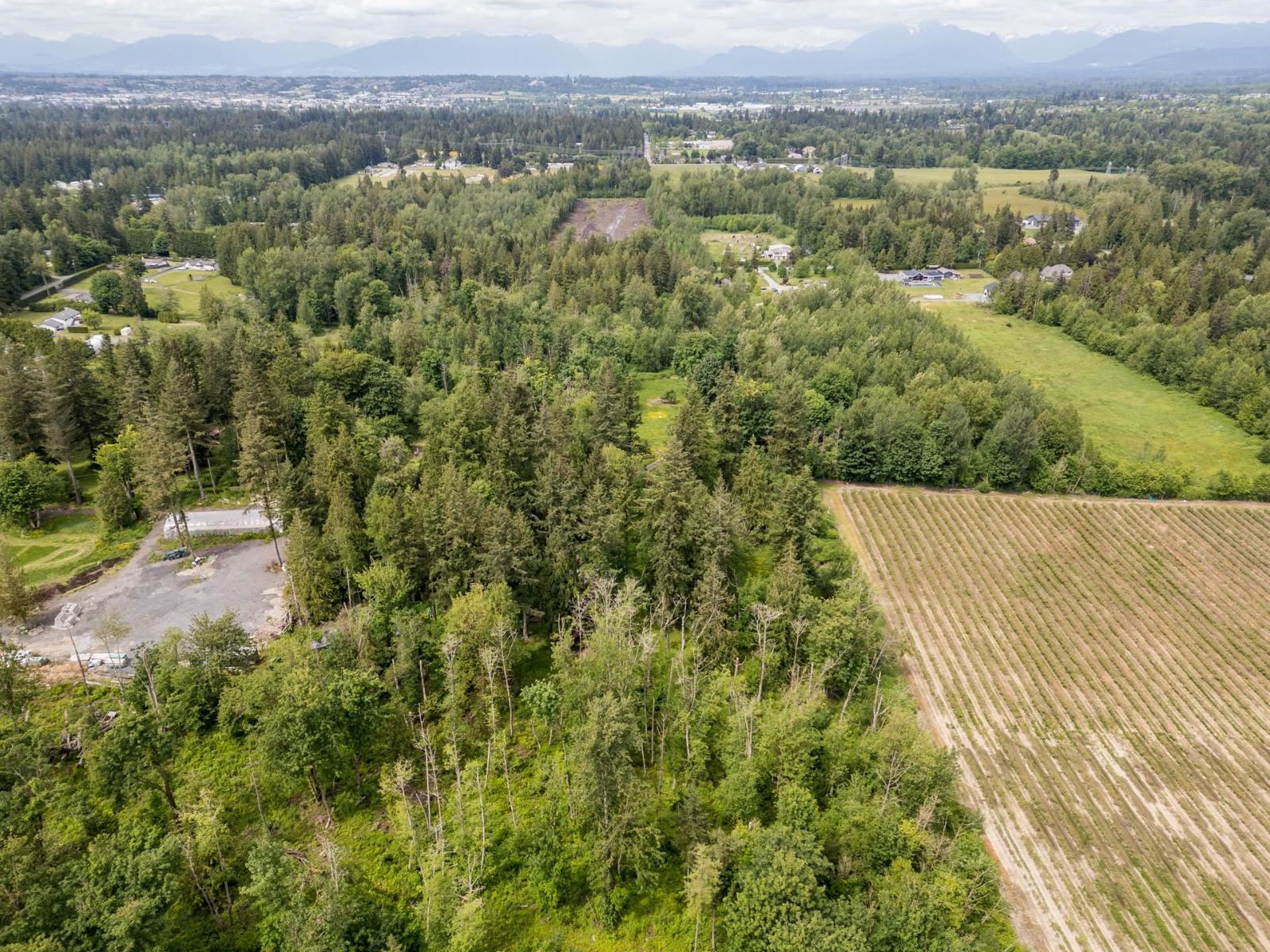 3390 210 STREET, Langley