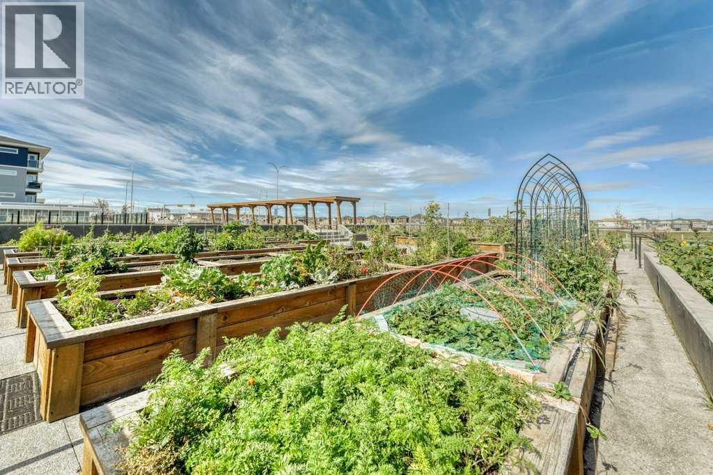 Single Family House for Sale in   Cornerstone Passage NE Cornerstone Calgary 