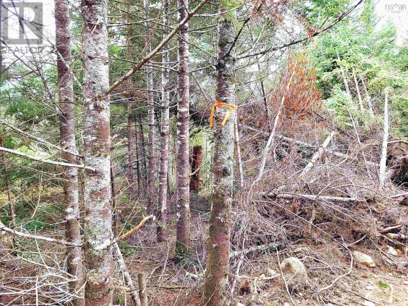 Property 13 of 33 of Lot Silver Road