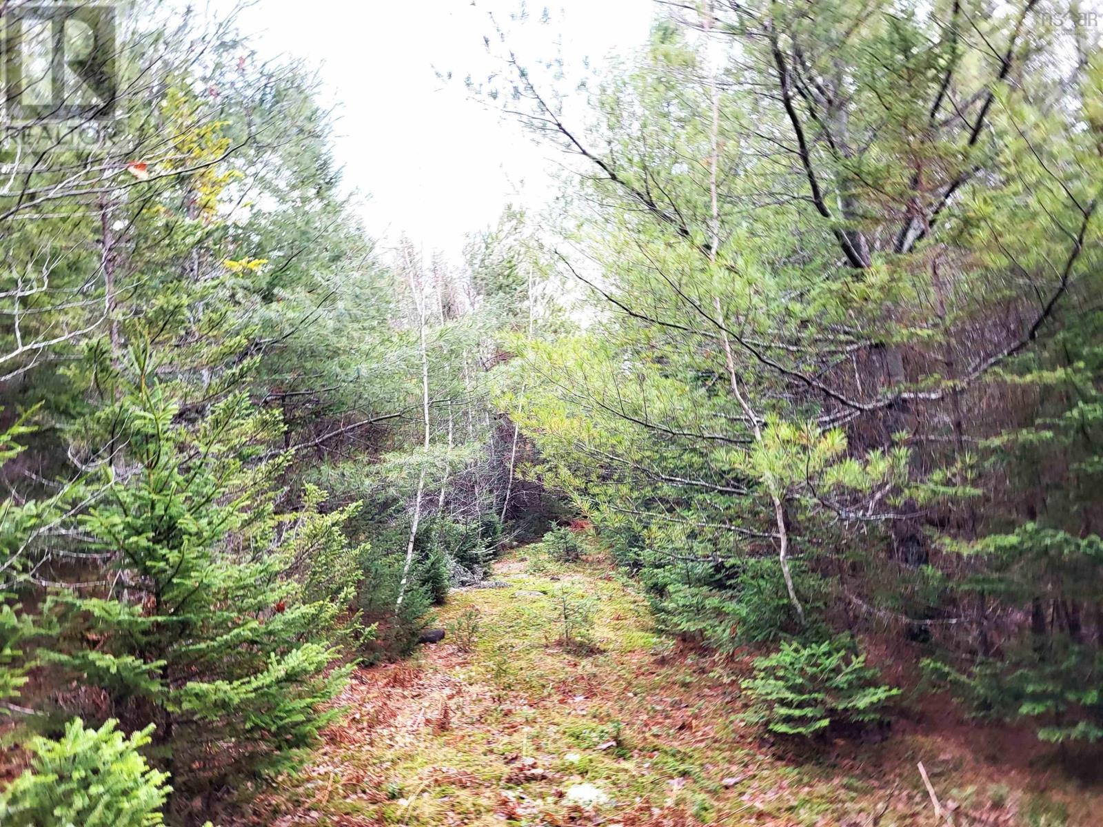 Property 8 of 33 of Lot Silver Road