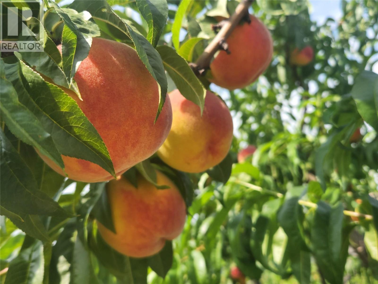 9701 Jones Flat Road, Summerland