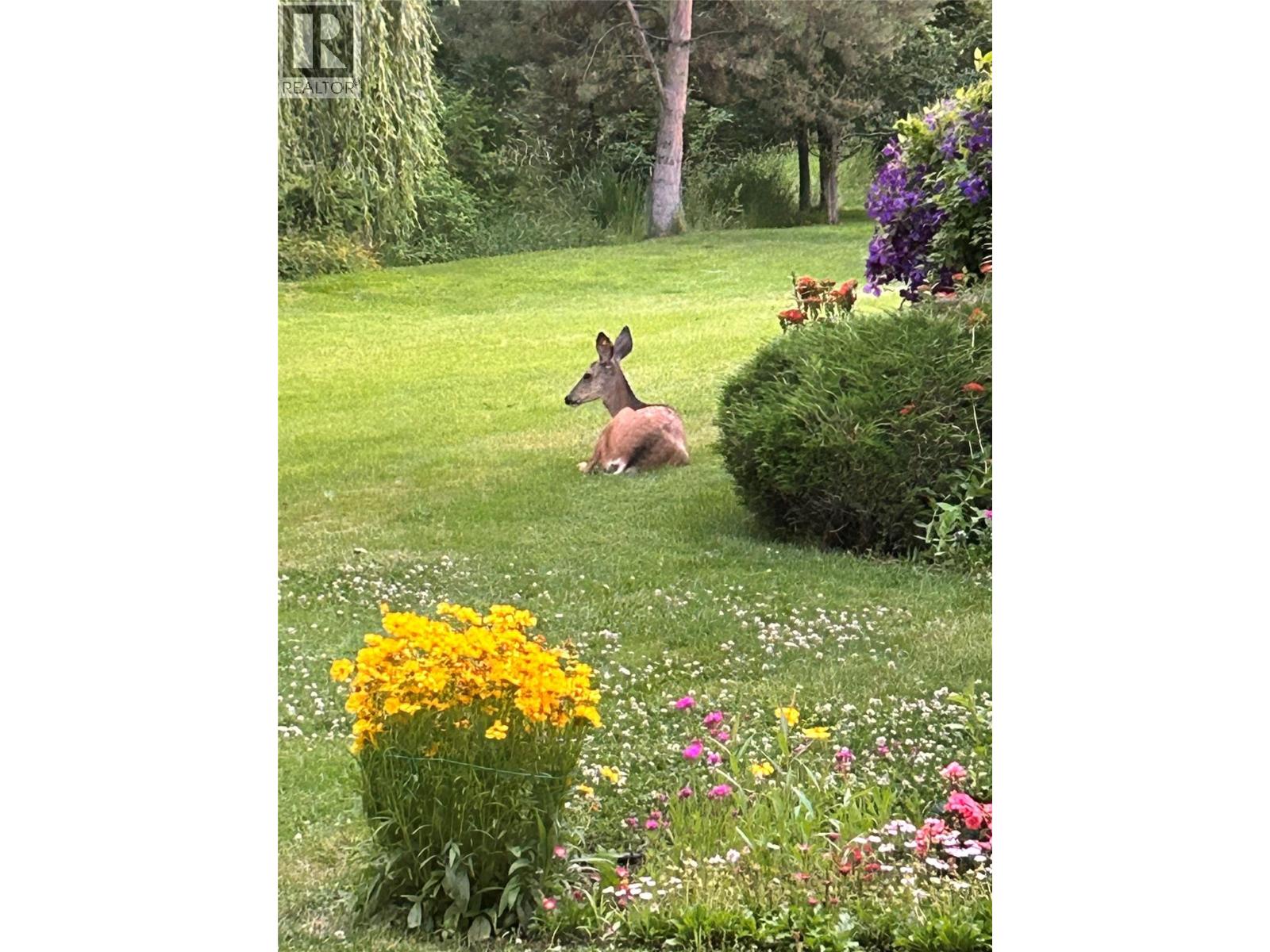 60 1101 Cameron Avenue, Kelowna