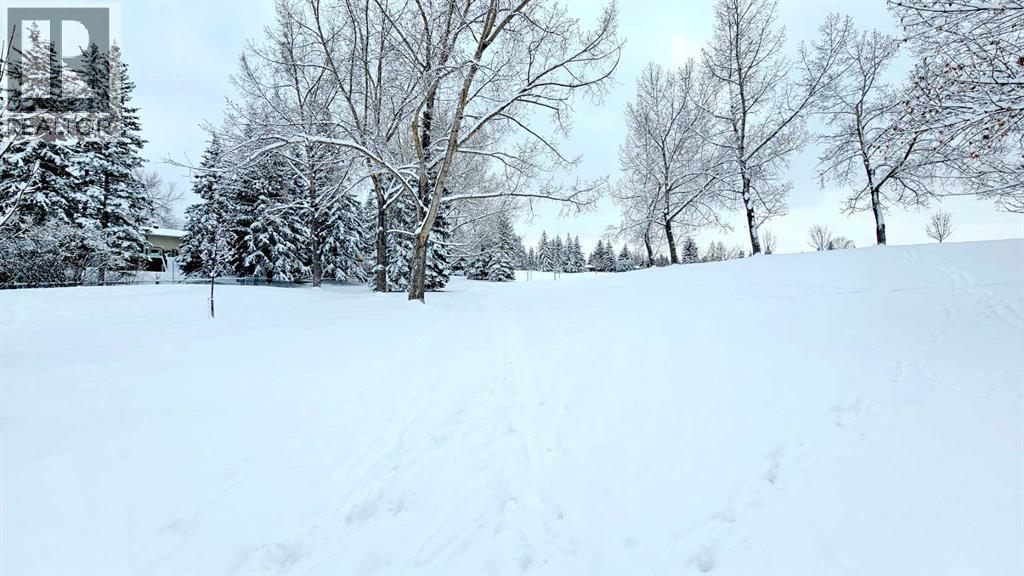 Single Family House for Sale in   Palliser Drive SW Oakridge Calgary 