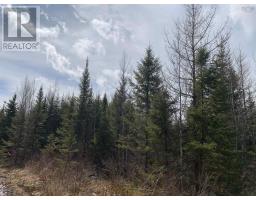 Lot Hunter West Road, Wentworth Valley Preserve, Wentworth Valley, NS B0M1Z0 Photo 9