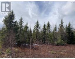 Lot Hunter West Road, Wentworth Valley Preserve, Wentworth Valley, NS B0M1Z0 Photo 8