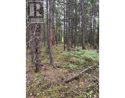 Vv1 Lot 1 Hunter Road, West Wentworth, NS B0M1Z0 Photo 7