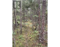 Vv5 Lot 5 Hunter Road, West Wentworth, NS B0M1Z0 Photo 7