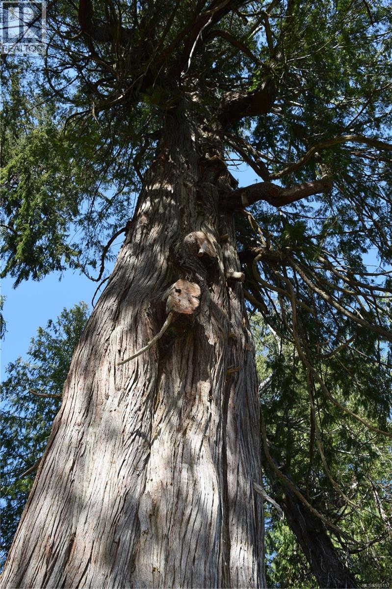 LT 11 308 Winter Harbour Rd, Winter Harbour