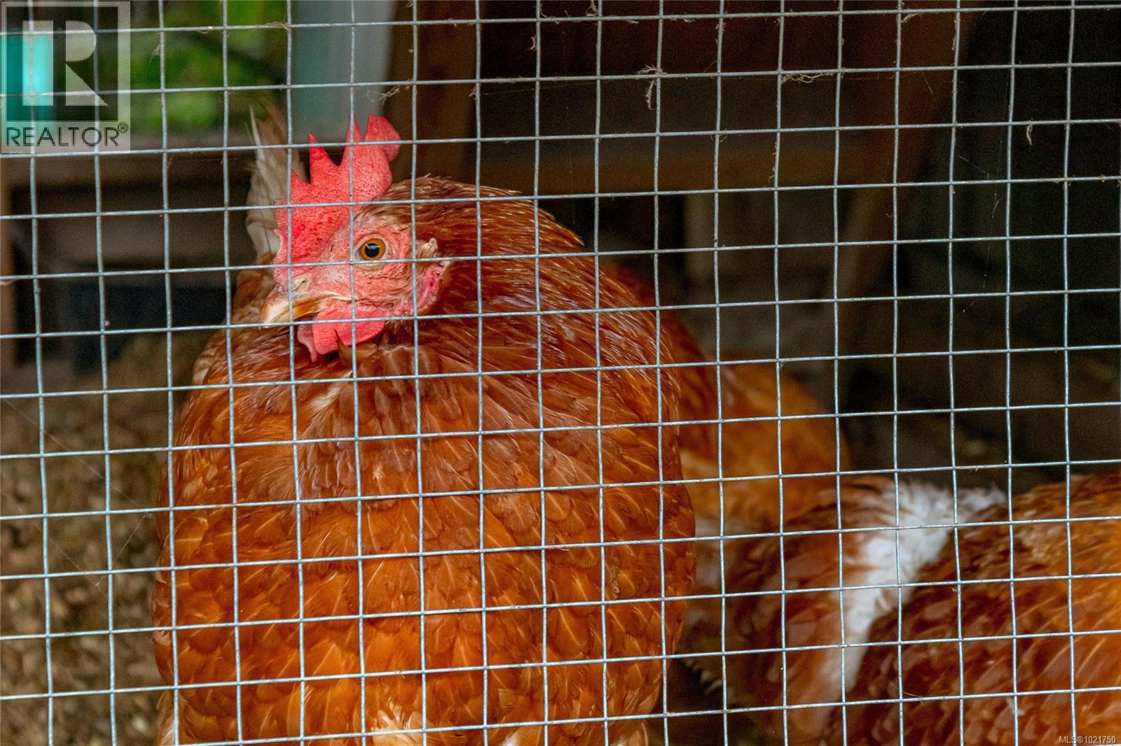 1850 Delanice Way, Nanoose Bay