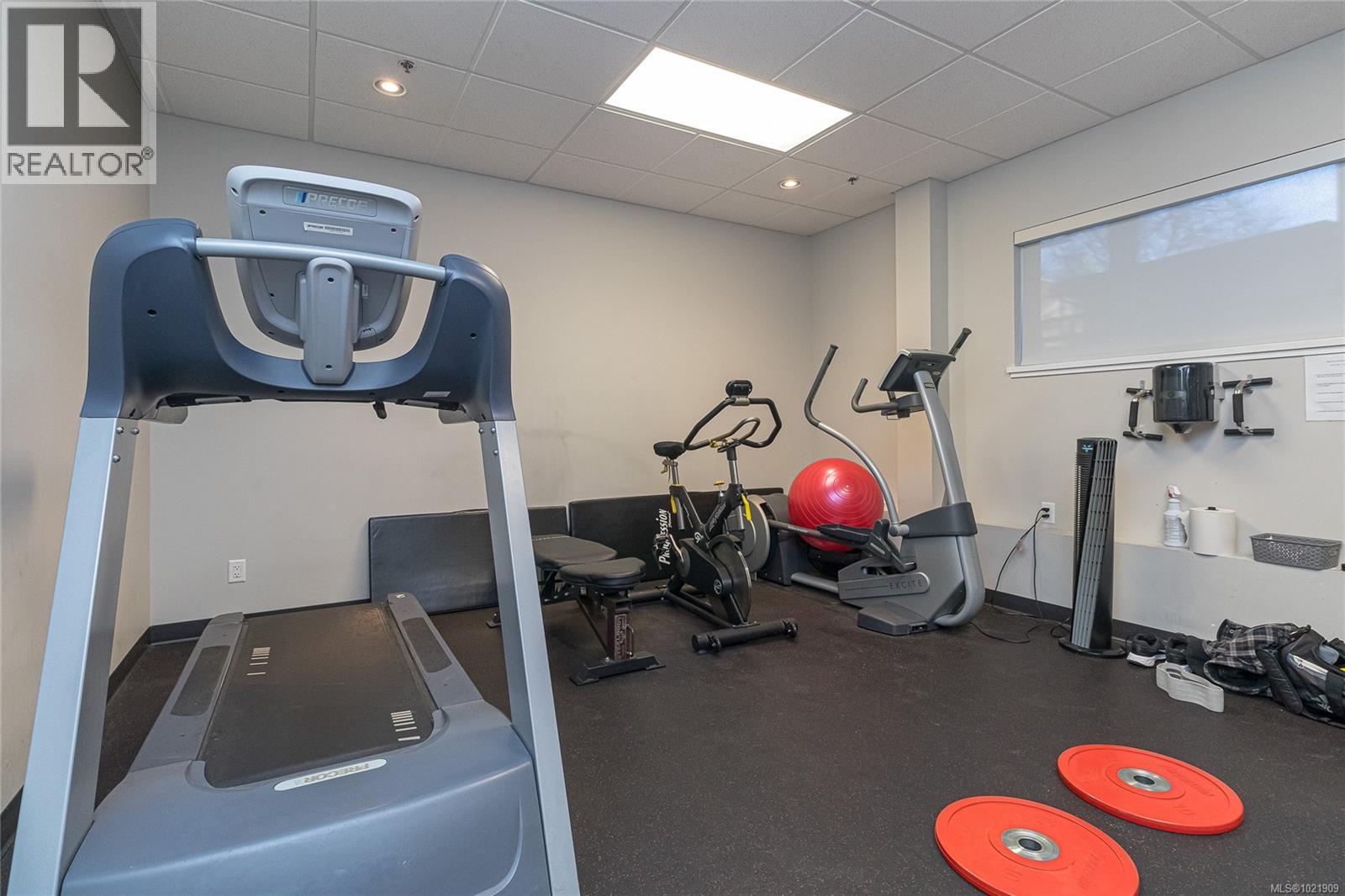 316 595 Pandora Avenue, Victoria