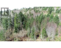 Lot 48a Tugwell Rd, Sooke, BC V9Z0J7 Photo 92