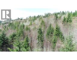 Lot 48a Tugwell Rd, Sooke, BC V9Z0J7 Photo 93