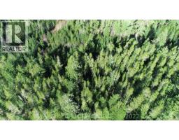 Lot 43 Tugwell Rd, Sooke, BC V9Z0J8 Photo 17