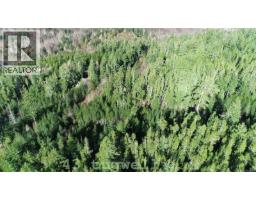 Lot 43 Tugwell Rd, Sooke, BC V9Z0J8 Photo 18