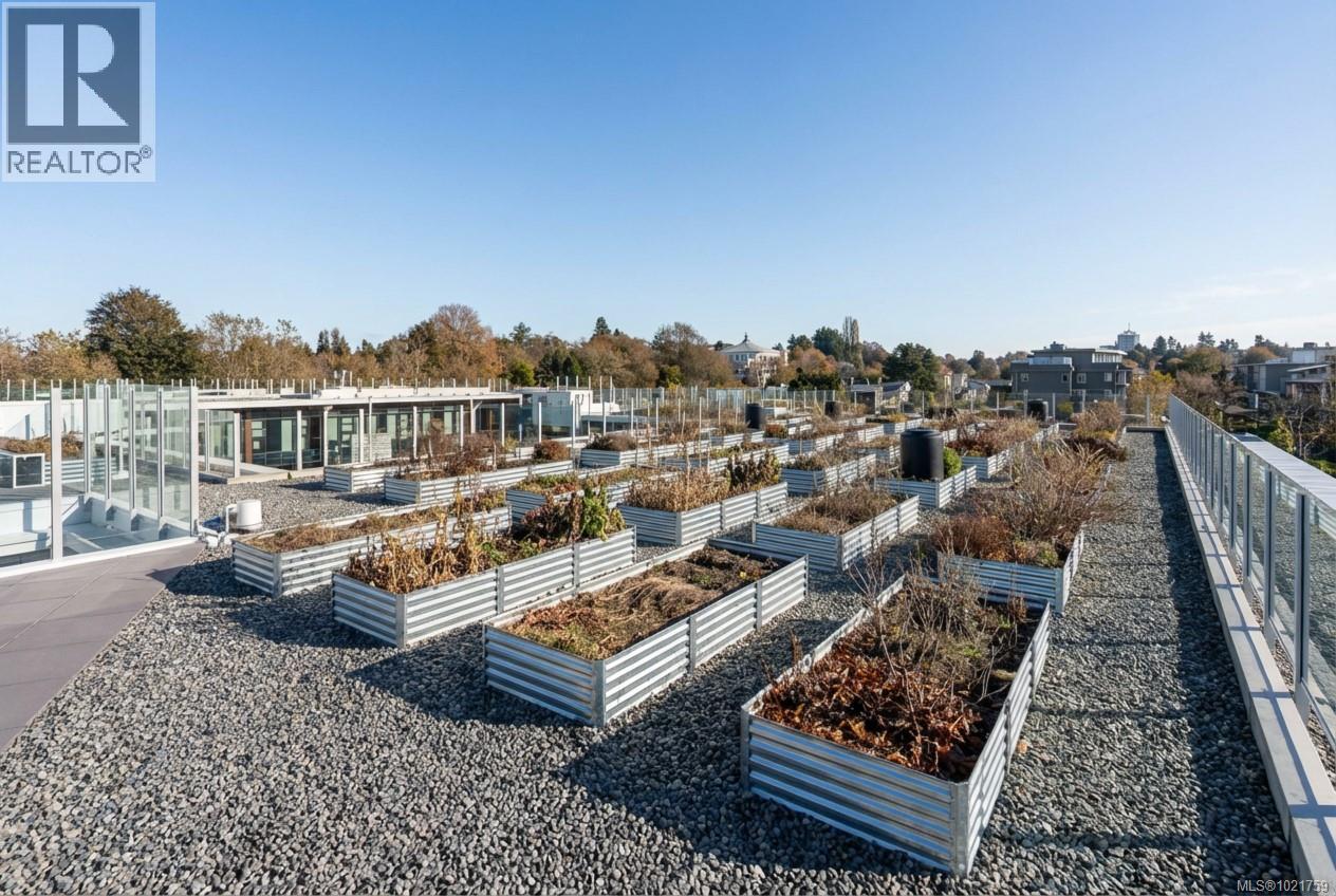 N405 1105 Pandora Ave, Victoria