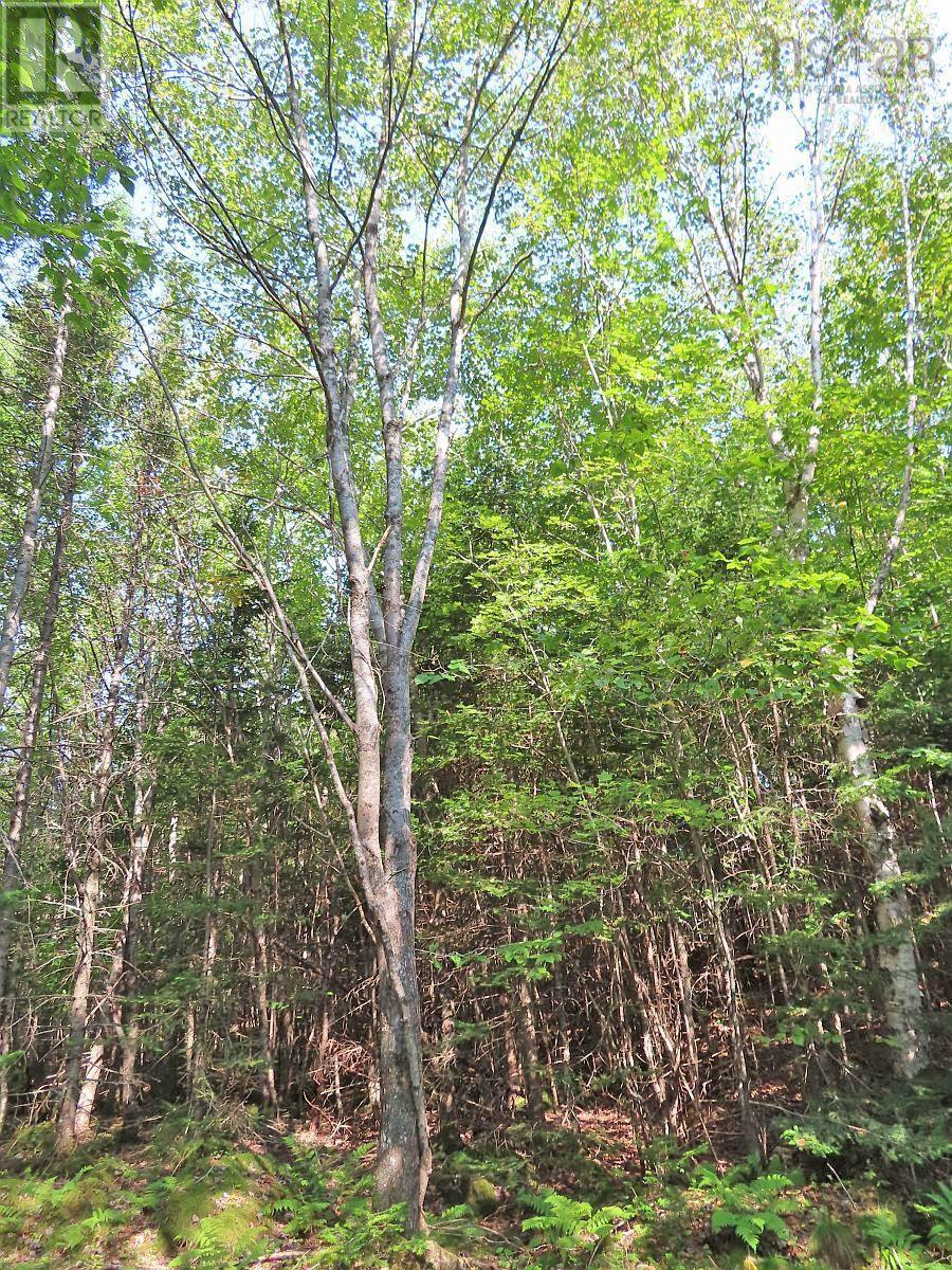 Vacant Land for Sale in Lot  Basin Road Evanston 