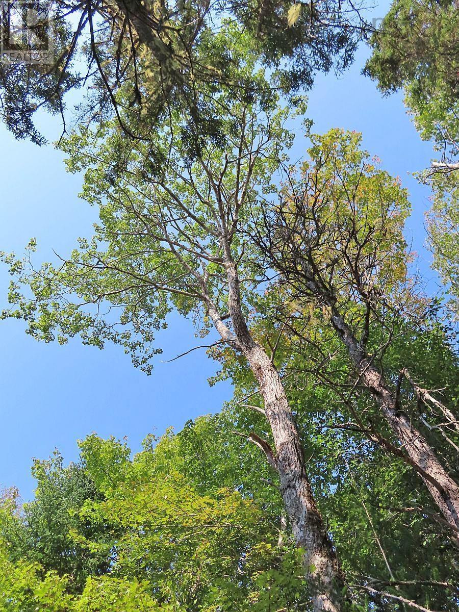 Vacant Land for Sale in Lot  Basin Road Evanston 