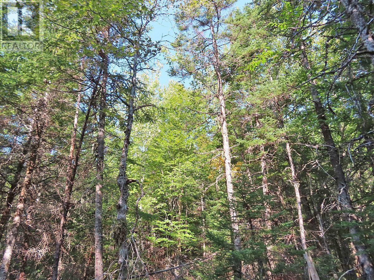 Vacant Land for Sale in Lot  Basin Road Evanston 