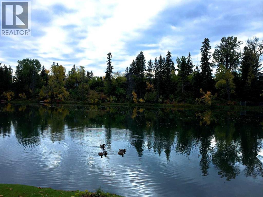 6416 34 Avenue NW, Calgary, Alberta