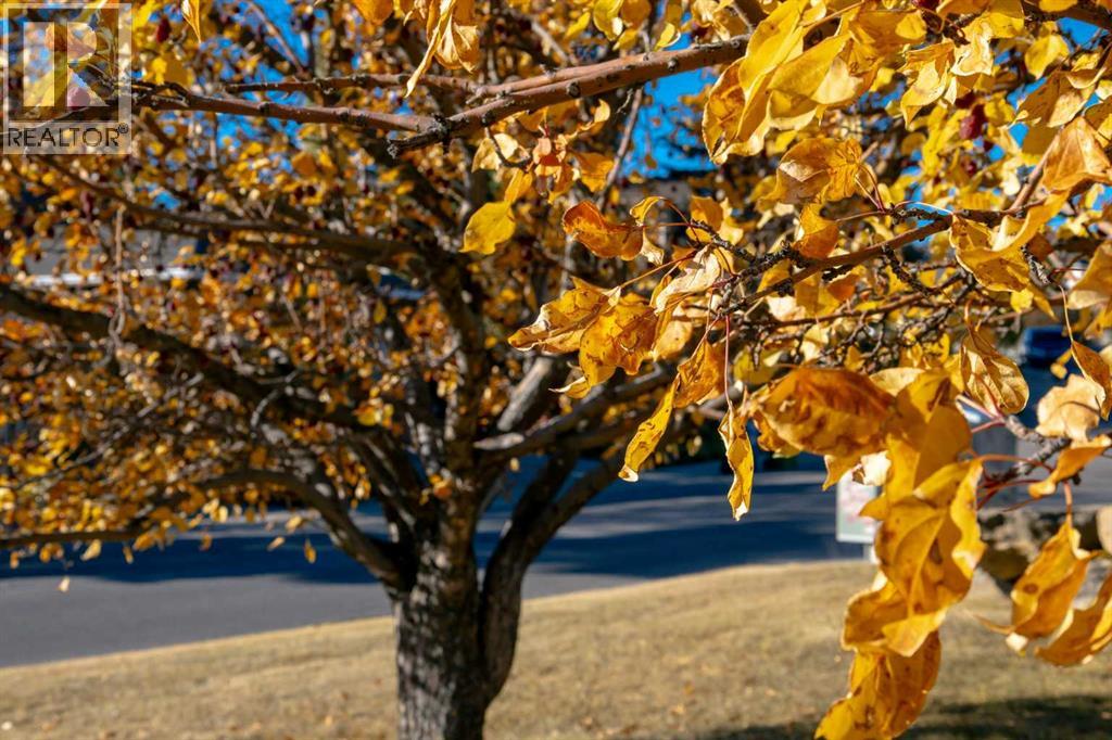 Single Family House for Sale in  Sienna Hills Drive SW Signal Hill Calgary 