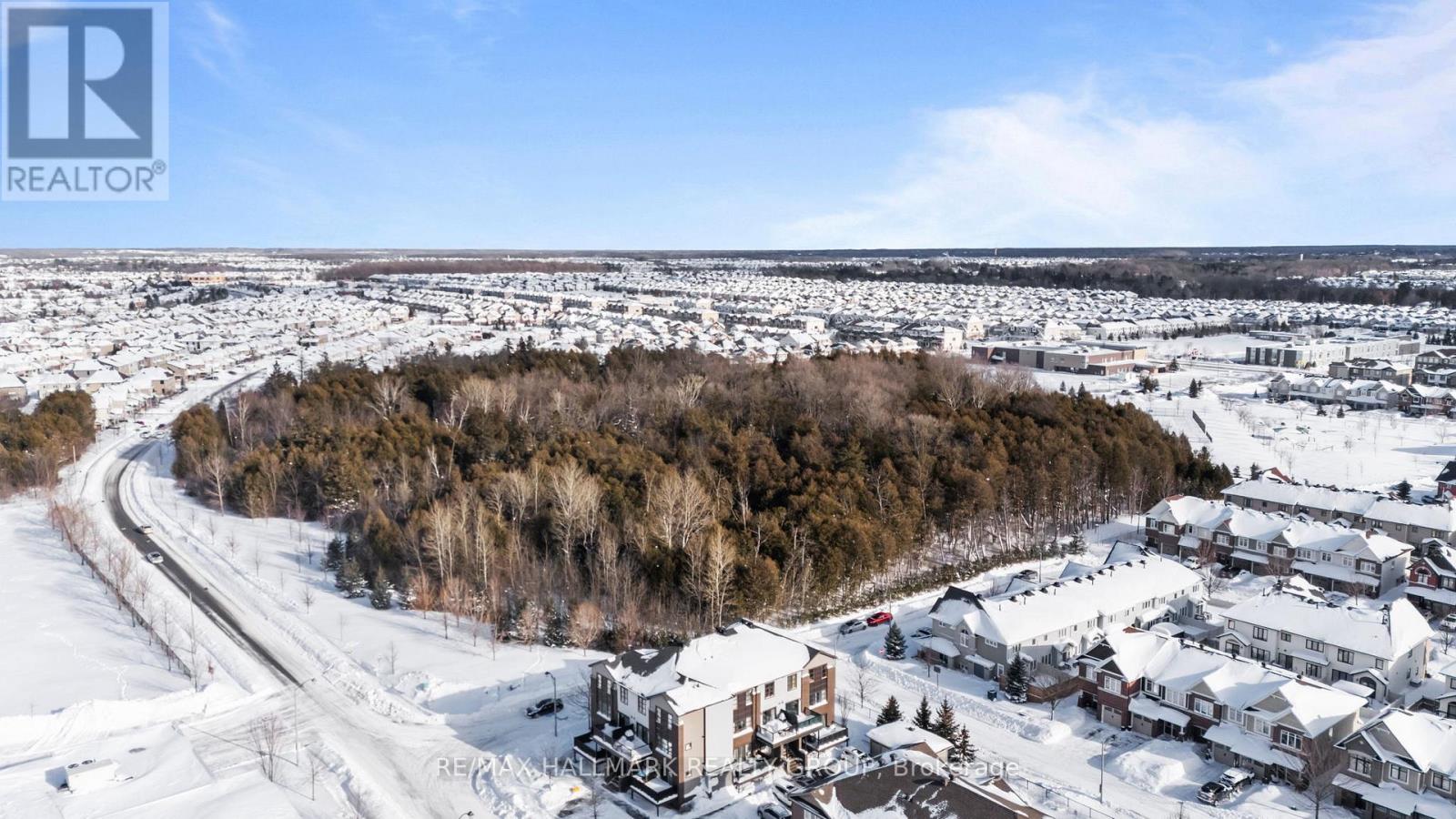 Forest/nature walk across the street? Incredible!