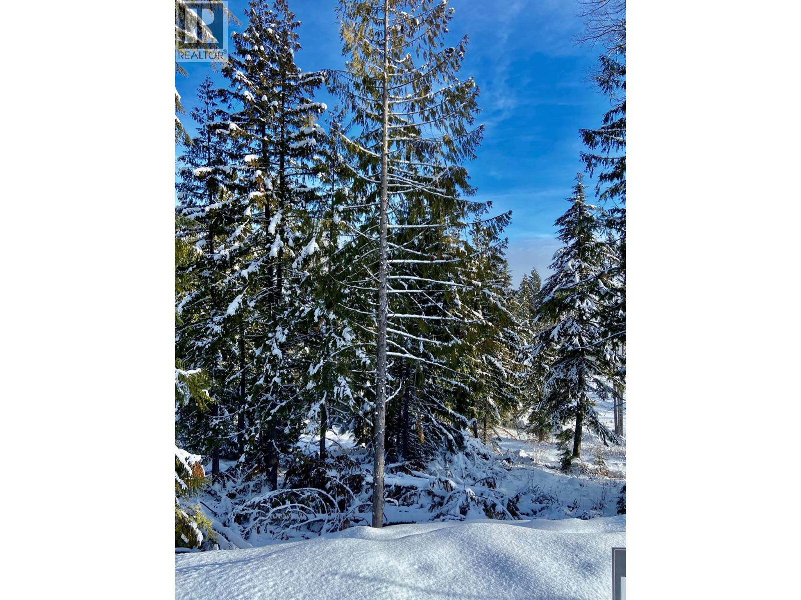 106 Topping Terrace, Rossland