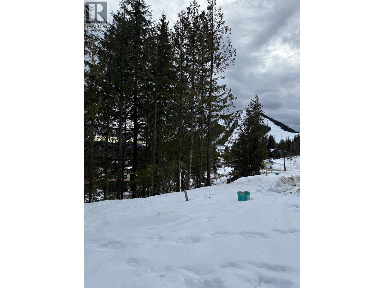 106 Topping Terrace, Rossland