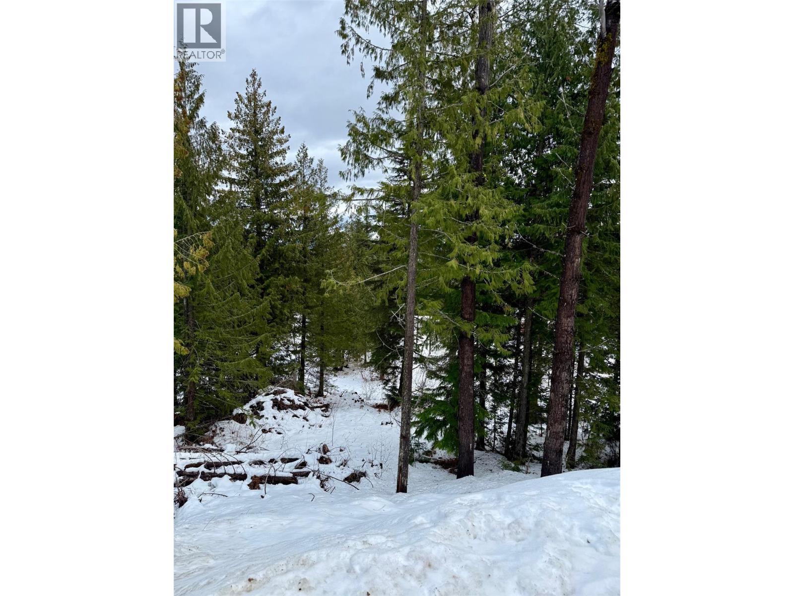 106 Topping Terrace, Rossland