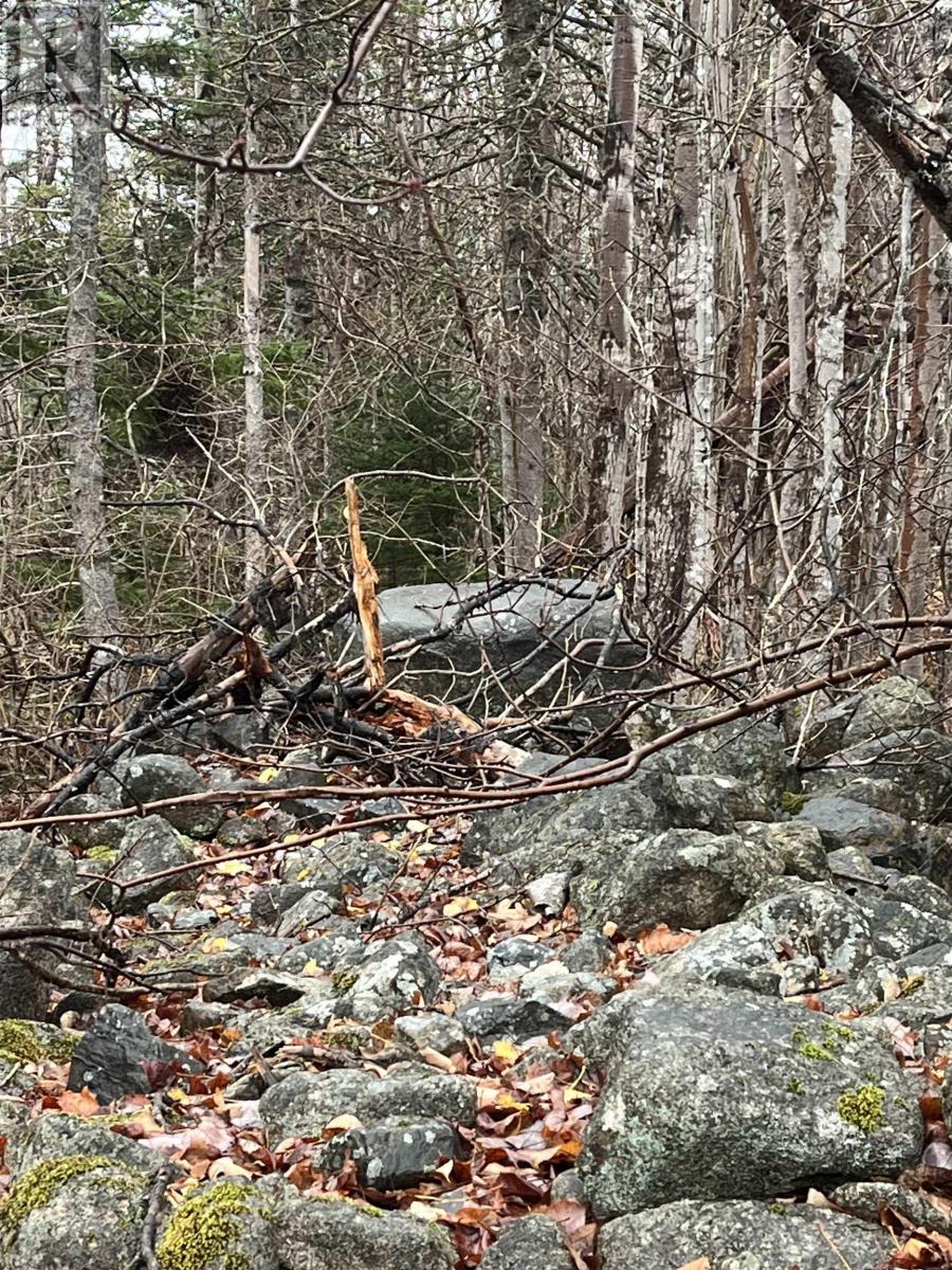 Property 11 of 11 of Lot 2021-1 Crocker Road