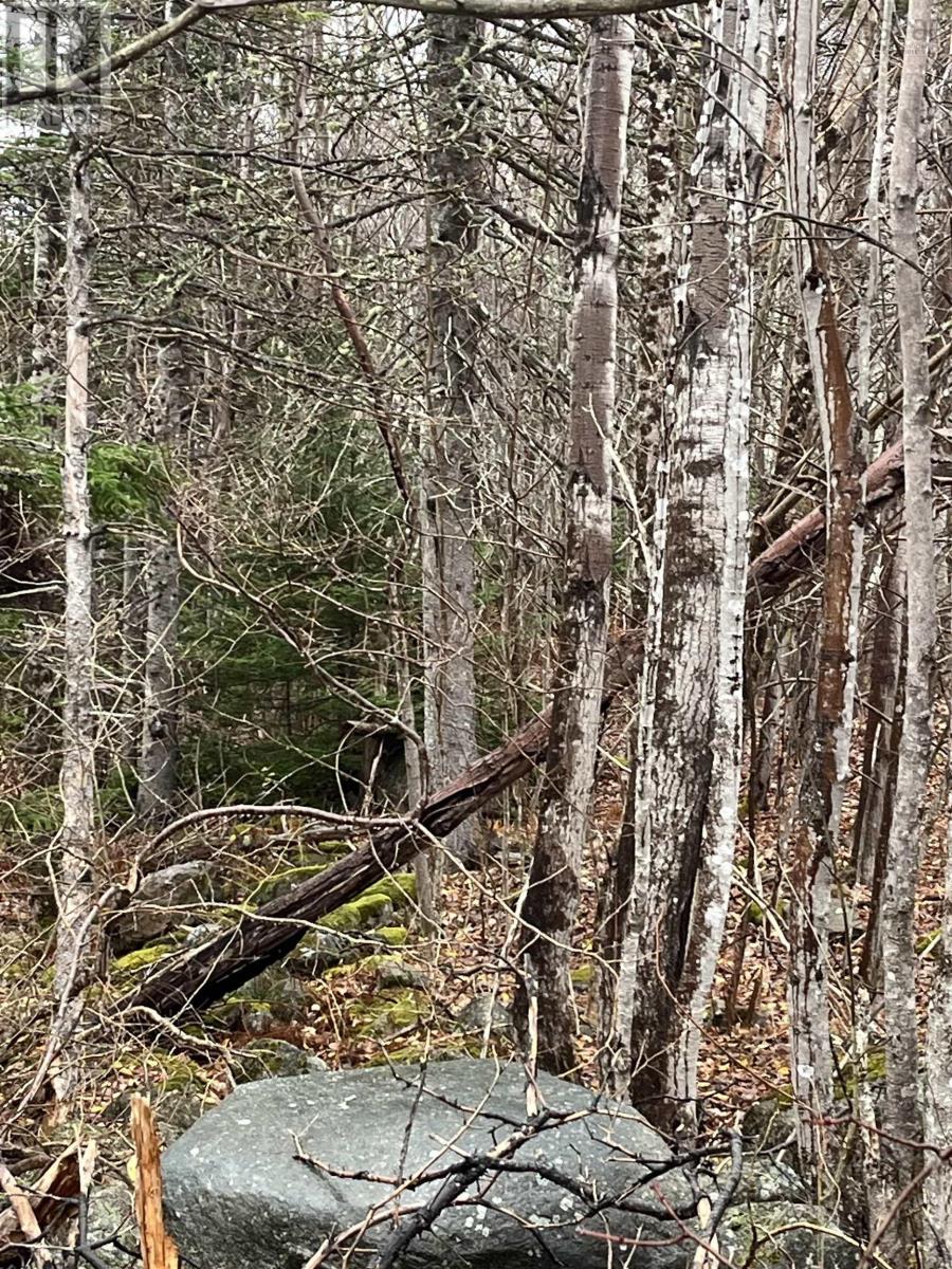 Property 3 of 11 of Lot 2021-1 Crocker Road