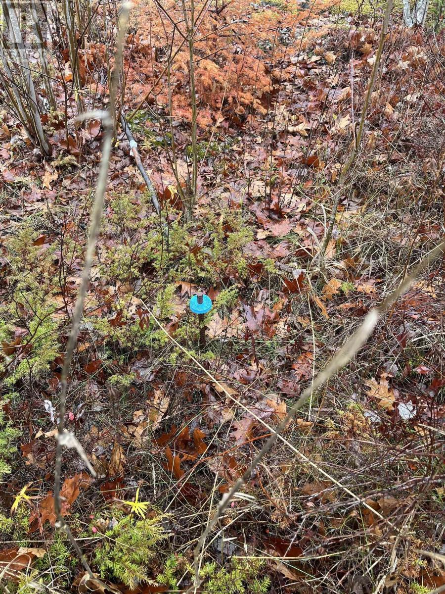 Property 8 of 11 of Lot 2021-1 Crocker Road