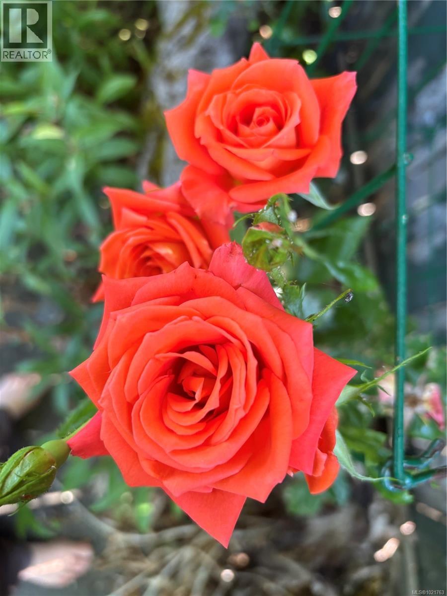 1014 Holmes St, Duncan