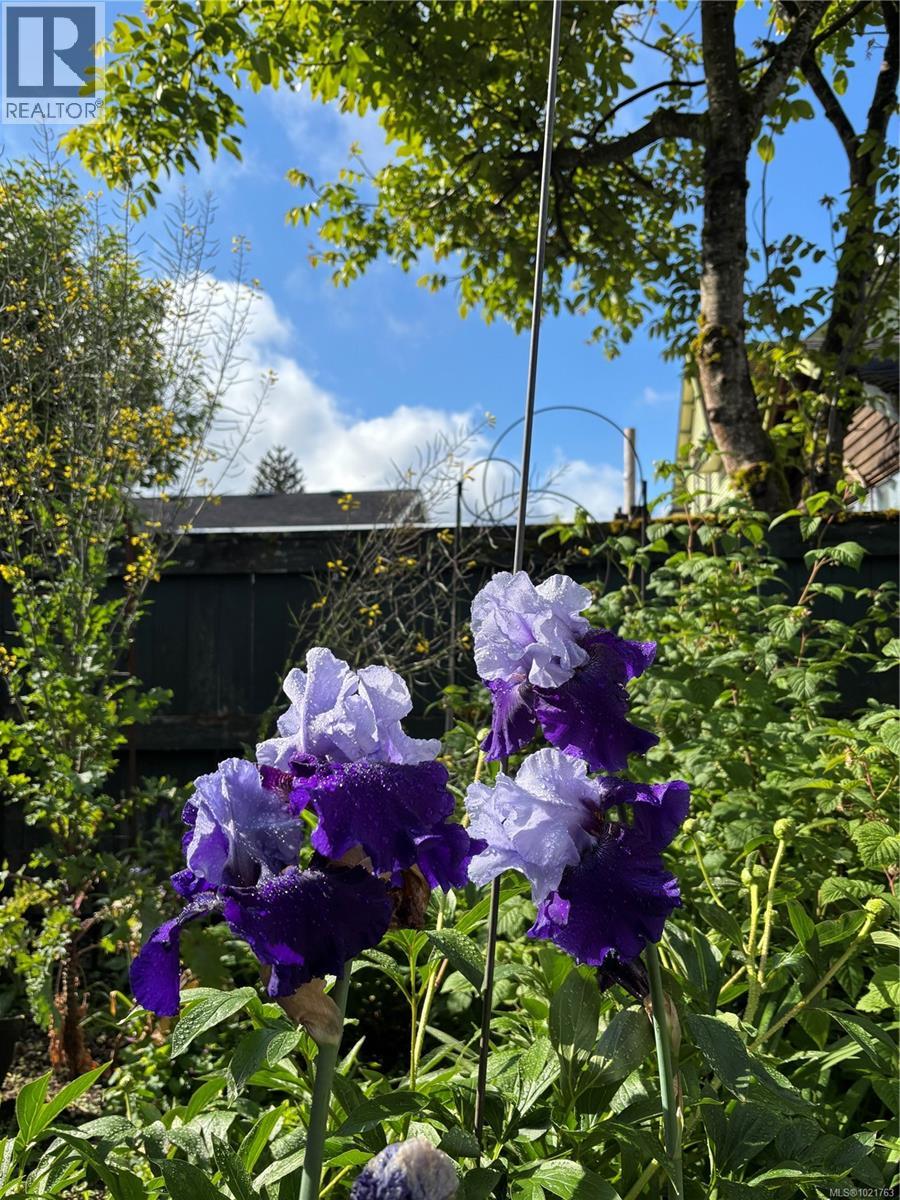 1014 Holmes St, Duncan