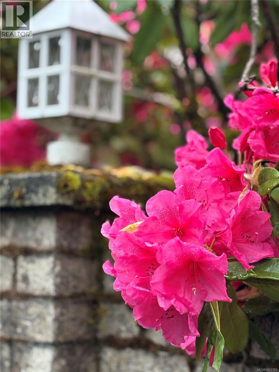 1014 Holmes St, Duncan