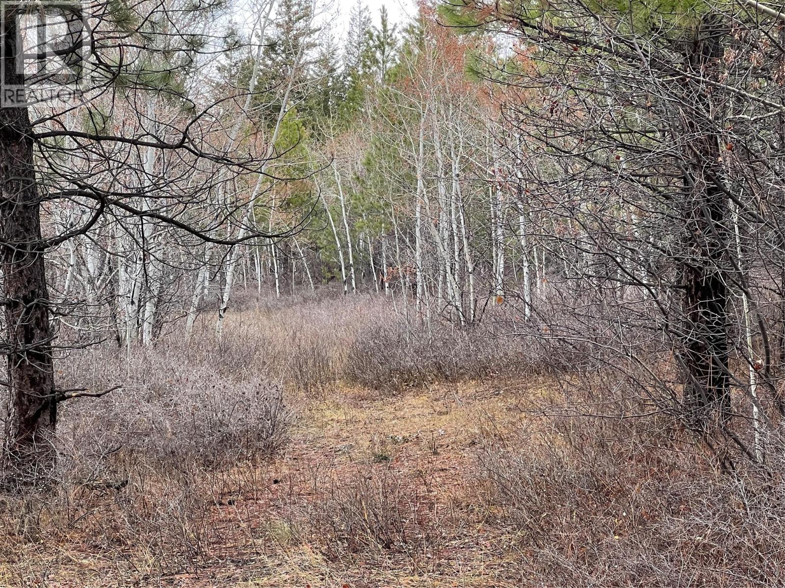 Lot 9 2457 COLDWATER Road, Merritt