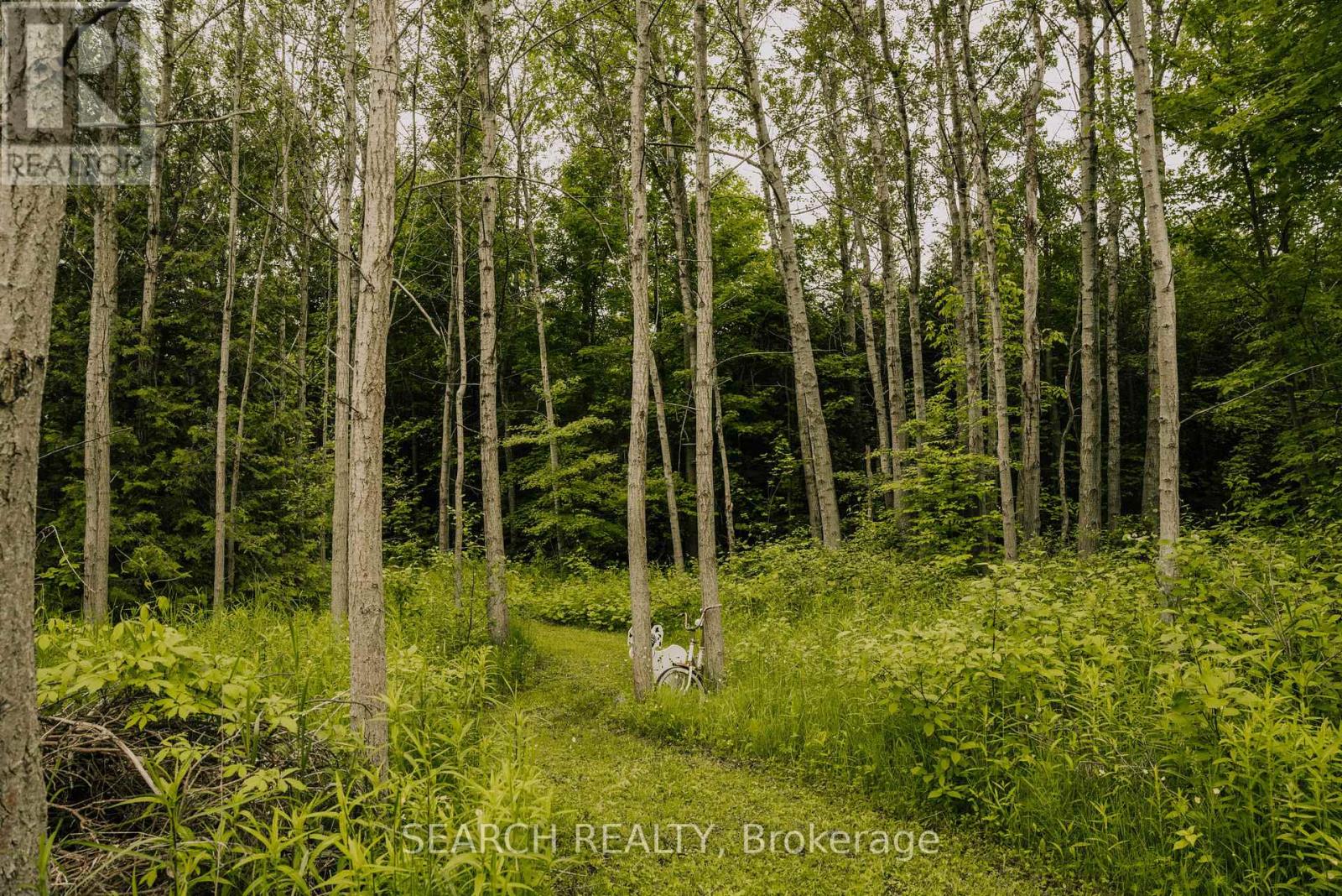 014104 BRUCE COUNTY ROAD 10 ROAD - 5