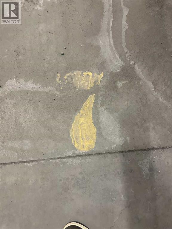 Single Family House for Sale in   Stanley Road SW Elboya Calgary 