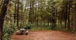 120 Wasagaming Drive, Clear Lake, MB R0J1N0 Photo 11