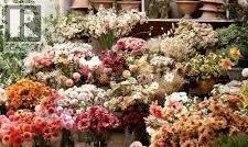 2114 54 Avenue SW, Calgary, Alberta