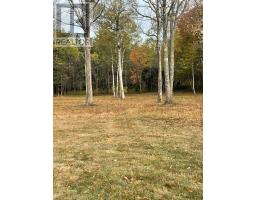 3335 358 Highway, Arlington, NS B0P1H0 Photo 14