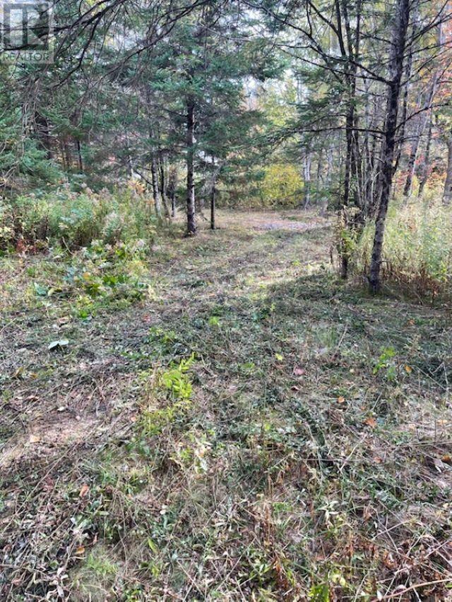 Property 2 of 16 of 3335 358 Highway