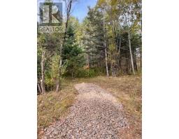 3335 358 Highway, Arlington, NS B0P1H0 Photo 8