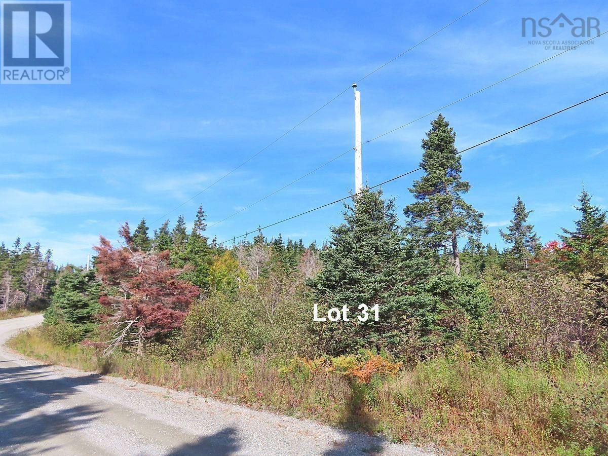 Property 43 of 48 of Lot 31 Belfry Lake Road