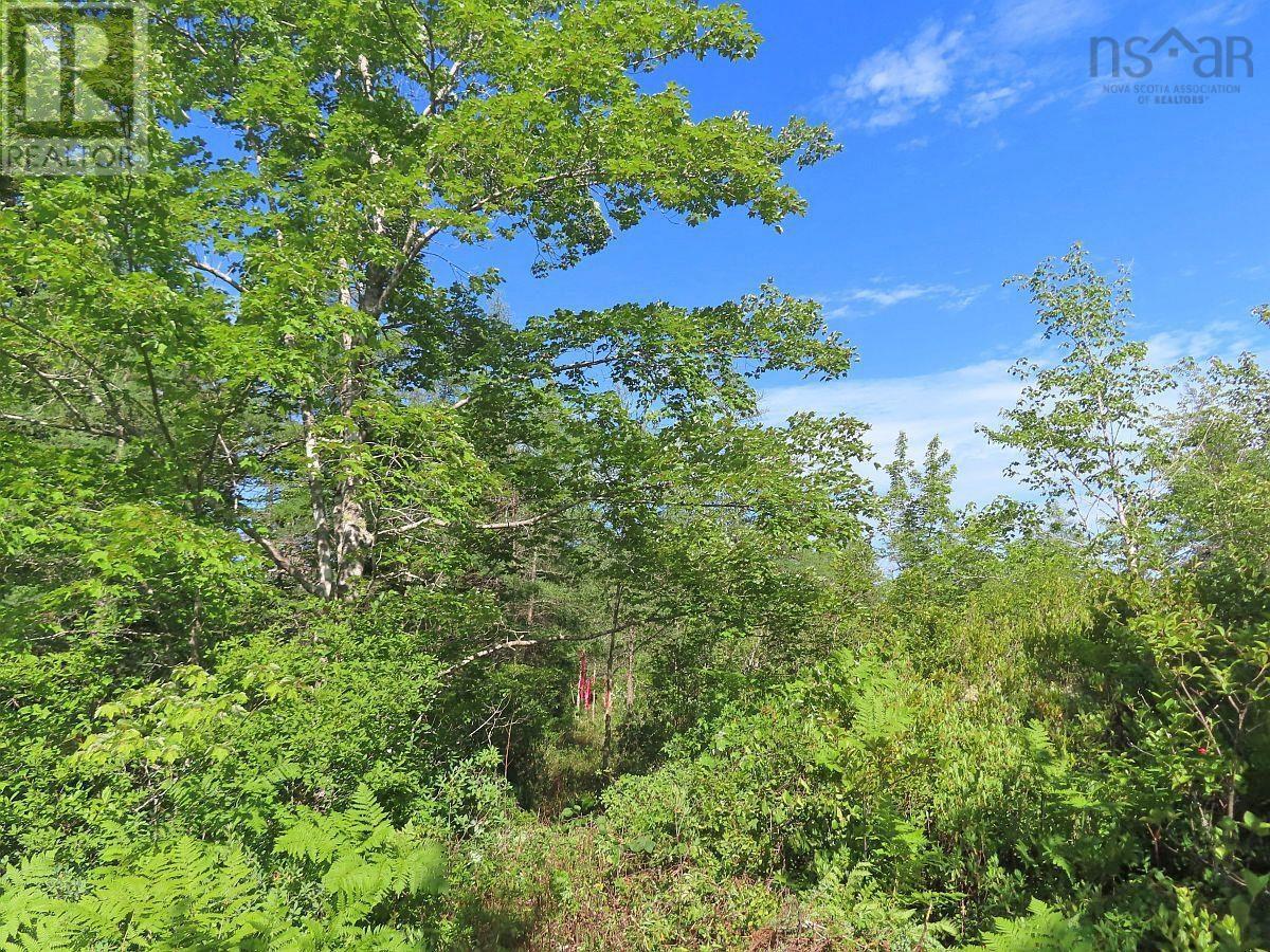 Property 44 of 48 of 7 Lot Subdiv Hwy 320