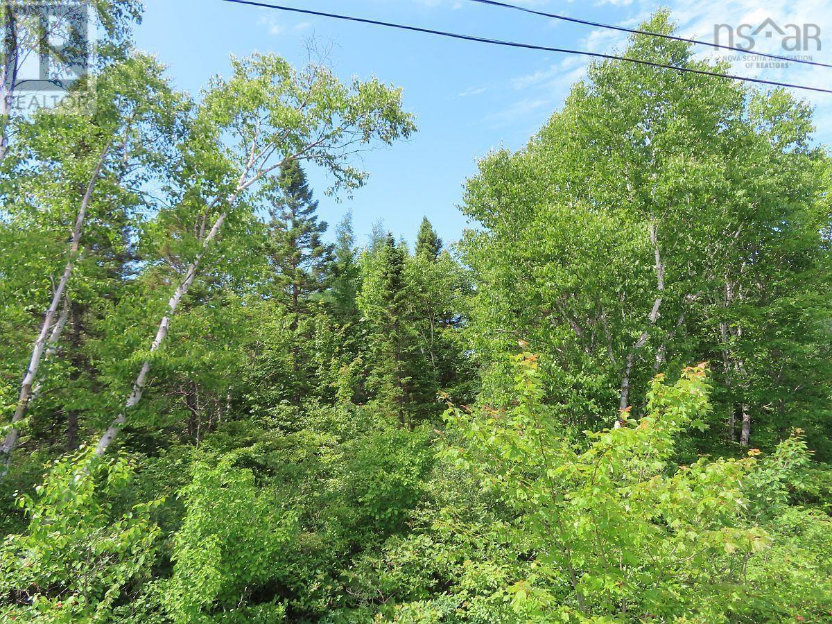 Property 39 of 48 of 7 Lot Subdiv Hwy 320