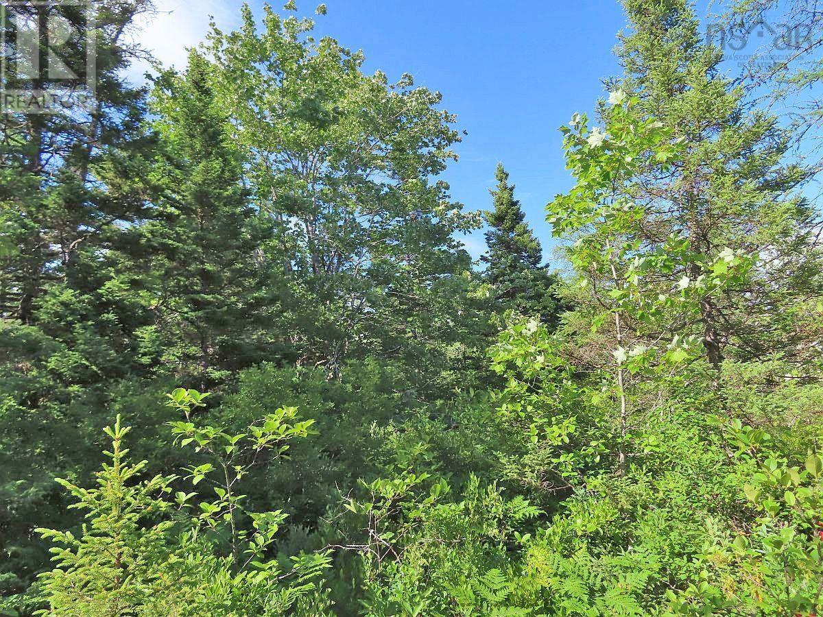 Property 40 of 48 of 7 Lot Subdiv Hwy 320