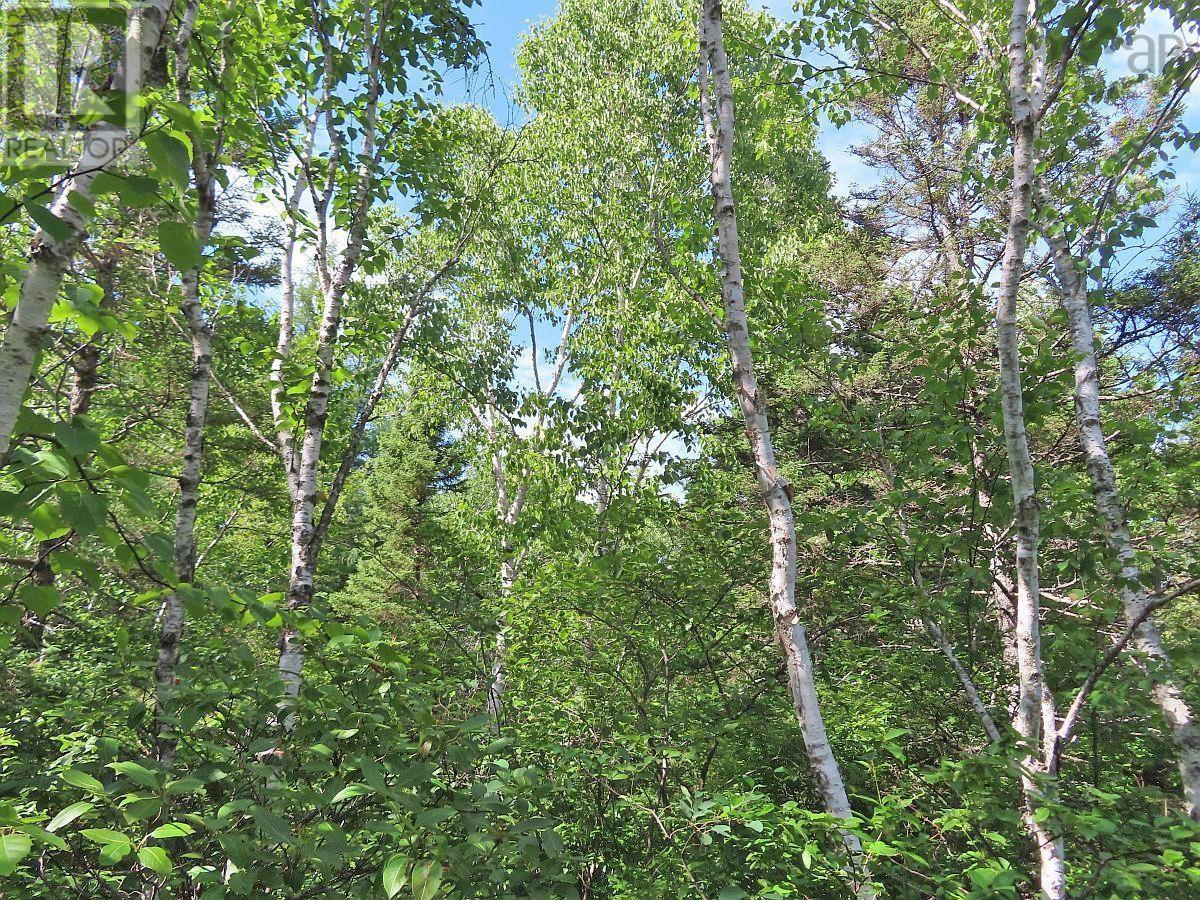 Property 46 of 48 of 7 Lot Subdiv Hwy 320