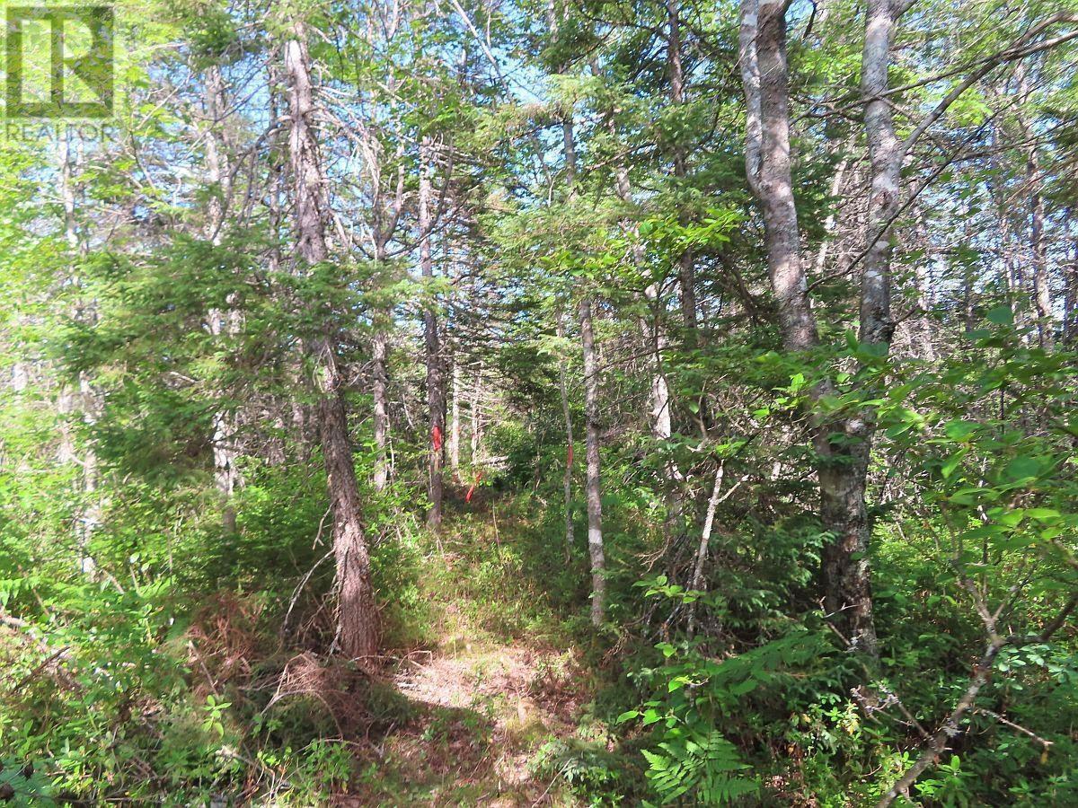 Property 21 of 48 of 7 Lot Subdiv Hwy 320